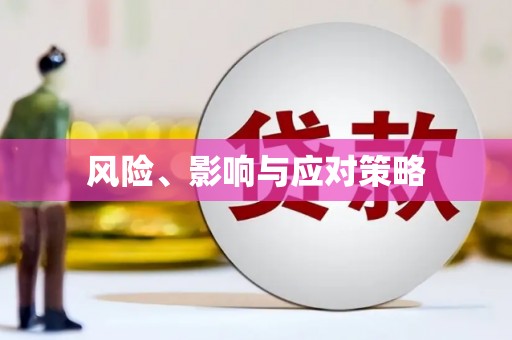 石排风险、影响与应对策略