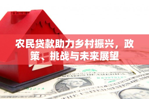 石排农民贷款助力乡村振兴，政策、挑战与未来展望