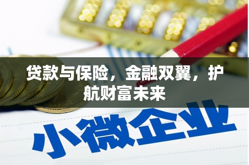 石排贷款与保险，金融双翼，护航财富未来