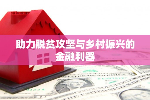 石排助力脱贫攻坚与乡村振兴的金融利器