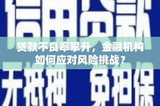 石排贷款不良率攀升，金融机构如何应对风险挑战？