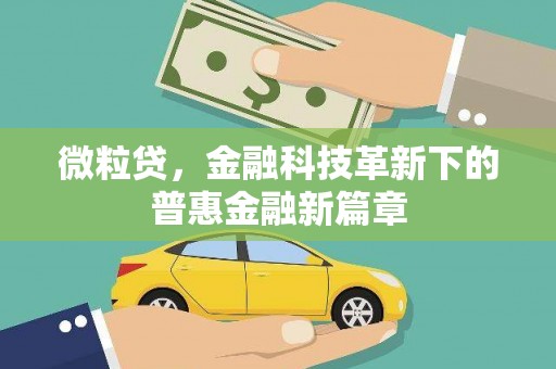 石排微粒贷，金融科技革新下的普惠金融新篇章