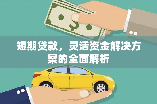 石排短期贷款，灵活资金解决方案的全面解析