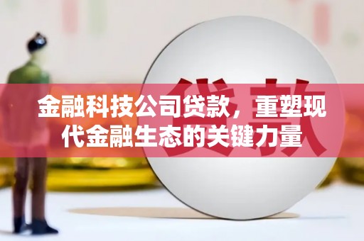 石排金融科技公司贷款，重塑现代金融生态的关键力量