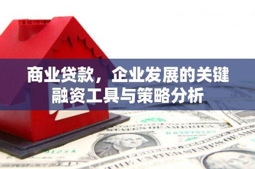 石排商业贷款，企业发展的关键融资工具与策略分析