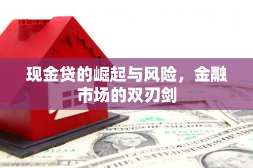 石排现金贷的崛起与风险，金融市场的双刃剑