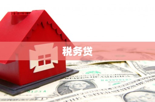 石排税务贷
