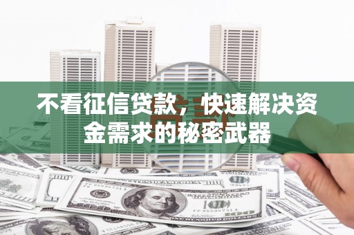 石排不看征信贷款，快速解决资金需求的秘密武器