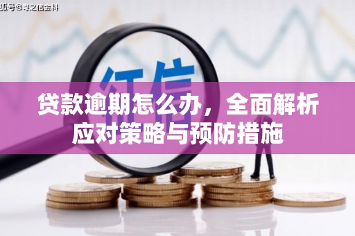 石排贷款逾期怎么办，全面解析应对策略与预防措施