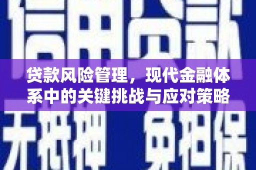 石排贷款风险管理，现代金融体系中的关键挑战与应对策略
