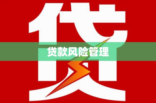 石排贷款风险管理