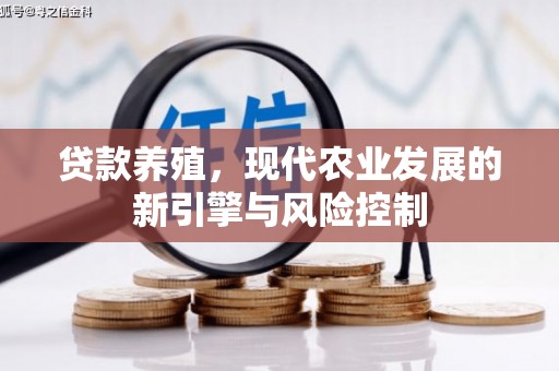 石排贷款养殖，现代农业发展的新引擎与风险控制