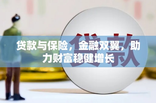 石排贷款与保险，金融双翼，助力财富稳健增长