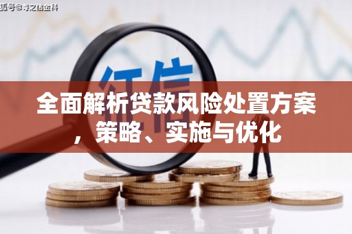 石排全面解析贷款风险处置方案，策略、实施与优化