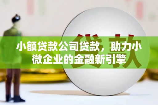 石排小额贷款公司贷款，助力小微企业的金融新引擎