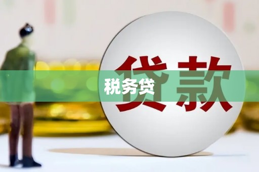 石排税务贷