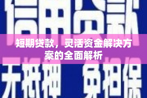 石排短期贷款，灵活资金解决方案的全面解析