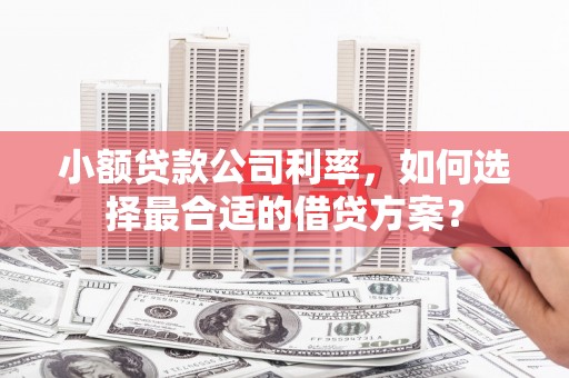 石排小额贷款公司利率，如何选择最合适的借贷方案？