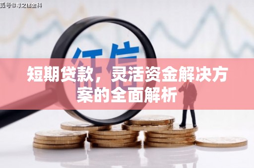 石排短期贷款，灵活资金解决方案的全面解析