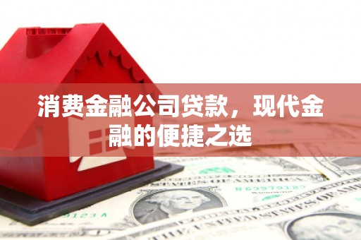 石排消费金融公司贷款，现代金融的便捷之选