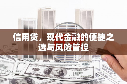 石排信用贷，现代金融的便捷之选与风险管控