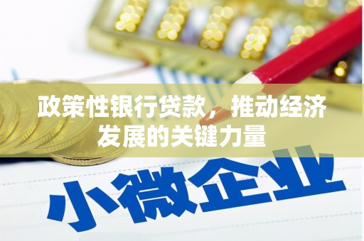石排政策性银行贷款，推动经济发展的关键力量