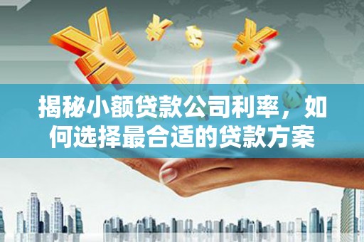 石排揭秘小额贷款公司利率，如何选择最合适的贷款方案