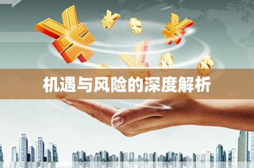 石排机遇与风险的深度解析