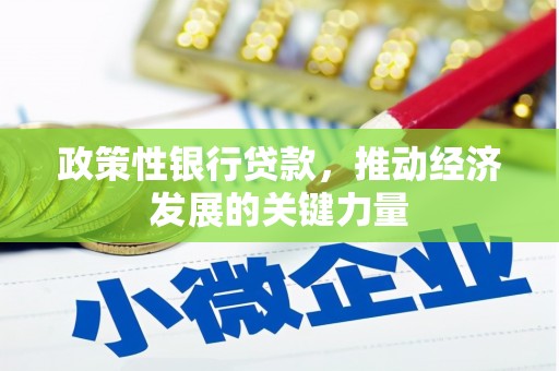 石排政策性银行贷款，推动经济发展的关键力量