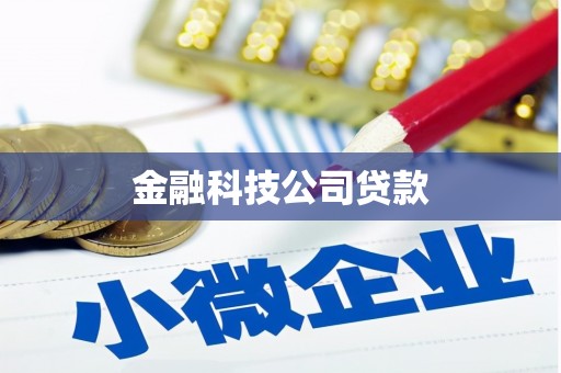 石排金融科技公司贷款