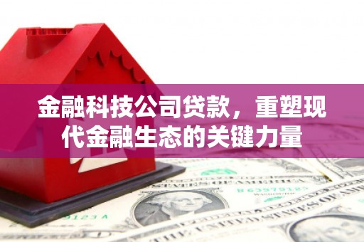 石排金融科技公司贷款，重塑现代金融生态的关键力量