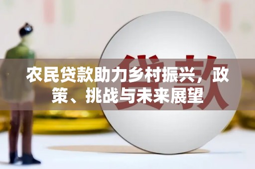 石排农民贷款助力乡村振兴，政策、挑战与未来展望