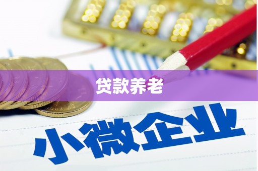 石排贷款养老