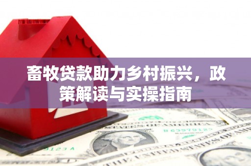 石排畜牧贷款助力乡村振兴，政策解读与实操指南