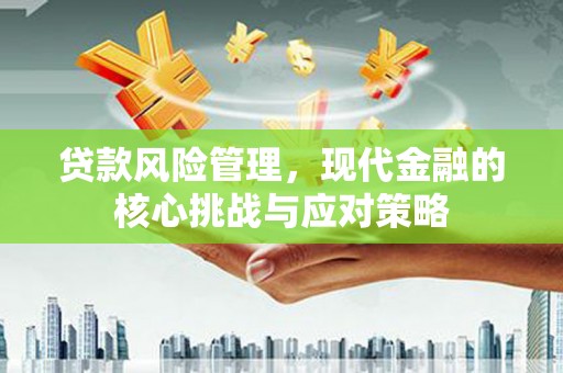 石排贷款风险管理，现代金融的核心挑战与应对策略