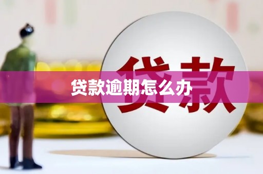 石排贷款逾期怎么办