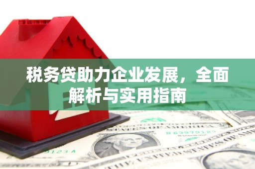 石排税务贷助力企业发展，全面解析与实用指南