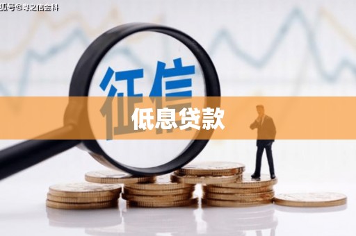 石排低息贷款