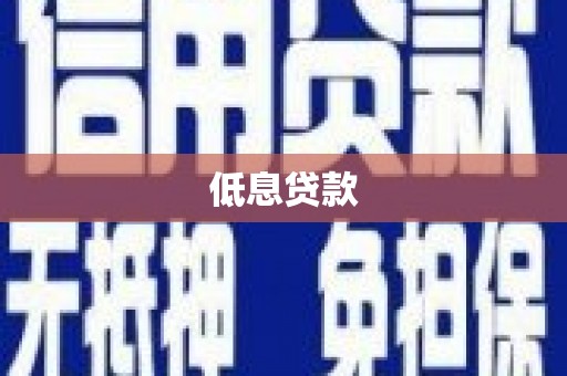 石排低息贷款