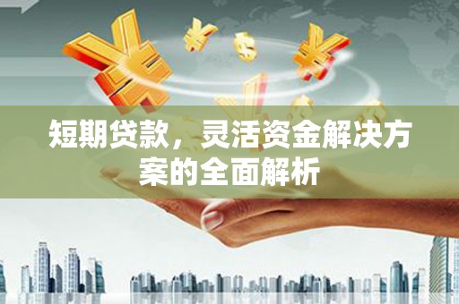 石排短期贷款，灵活资金解决方案的全面解析
