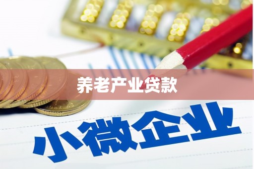 石排养老产业贷款