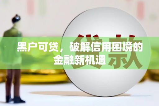 石排黑户可贷，破解信用困境的金融新机遇