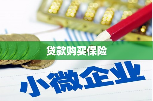 石排贷款购买保险
