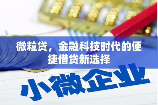 石排微粒贷，金融科技时代的便捷借贷新选择
