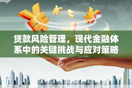 石排贷款风险管理，现代金融体系中的关键挑战与应对策略
