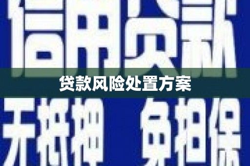 石排贷款风险处置方案