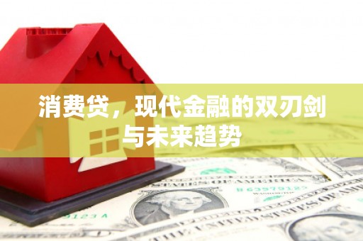 石排消费贷，现代金融的双刃剑与未来趋势