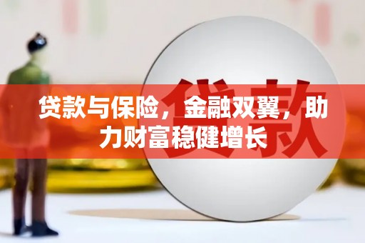 石排贷款与保险，金融双翼，助力财富稳健增长