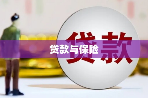 石排贷款与保险