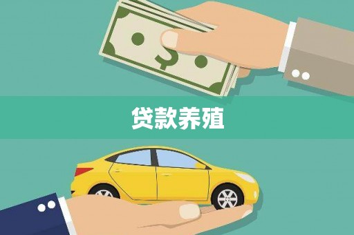 石排贷款养殖